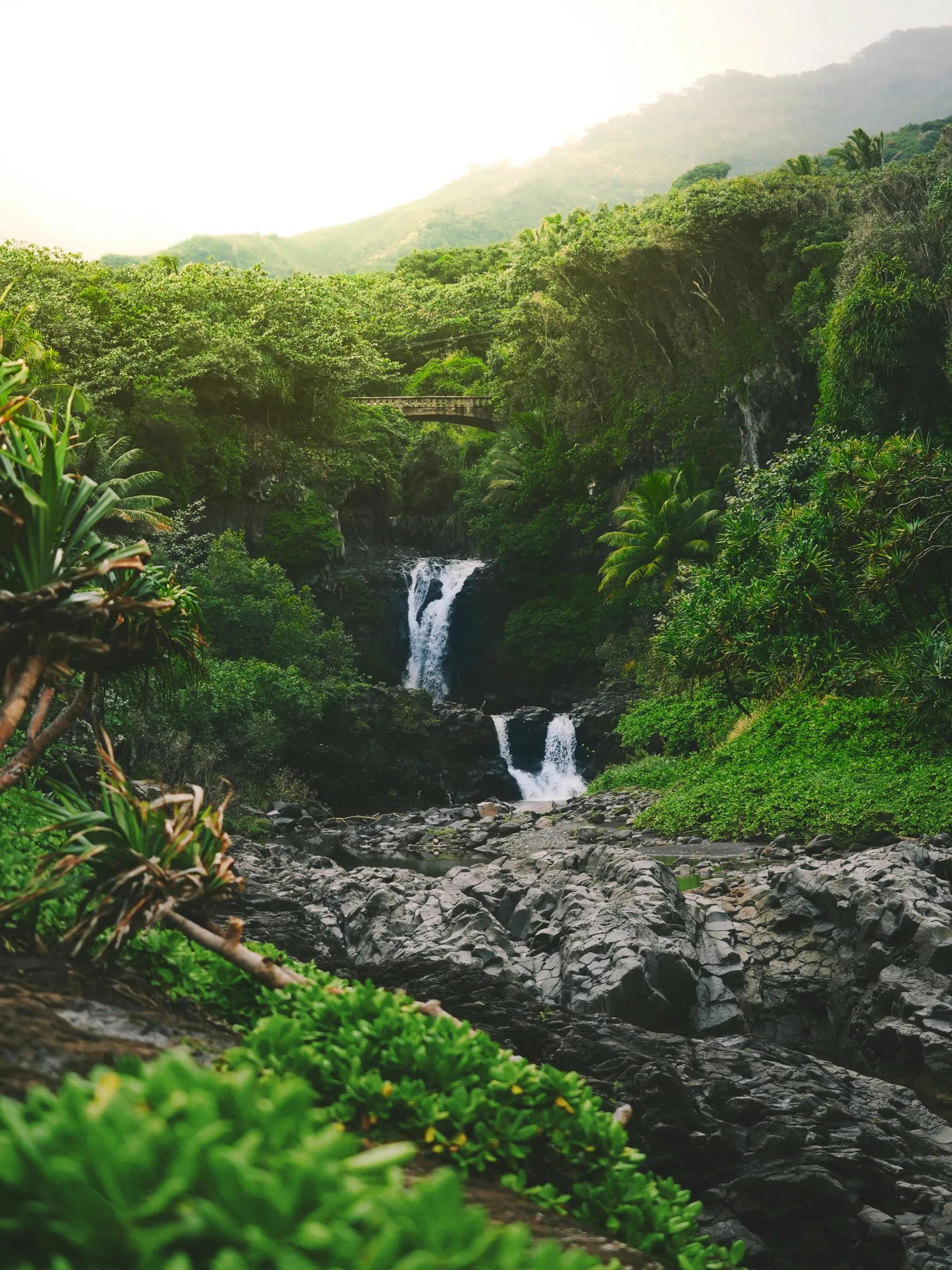 A lush green valley with twin waterfalls and mountains in morning light